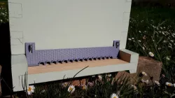 Small hive entrance door - With filtering