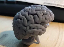 Still Thinking