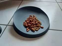 Whisker Relief Cat Bowl