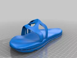 3D Printed Slide Shoe