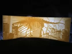 Barosaurus Lithophane