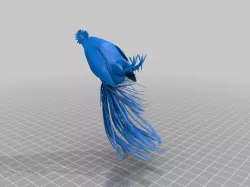 Cockerel