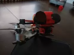 Darwin babyape 