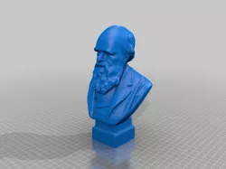 Darwin Bust