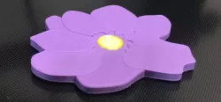 Flower Coaster