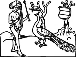 Frau mit Pfau - Woman and Peacock - mediaval drawing