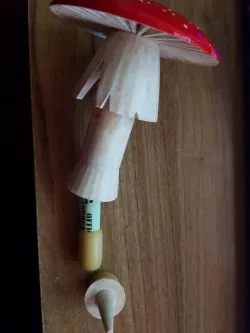 Geocache Mushroom