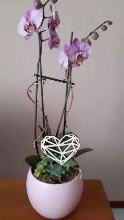 Geometric heart decoration - Decorazione cuore geometrico