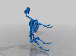 horse skeleton