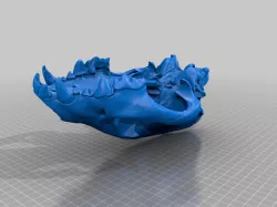 Hyena skull