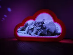 Kitten and Puppy Lithophane for Cloudy little night light