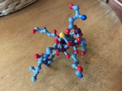 Oxygen-Evolving-Complex