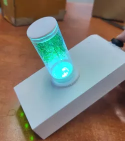 rick and morty gun portal