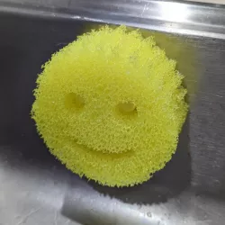 Scrub Daddy Holder