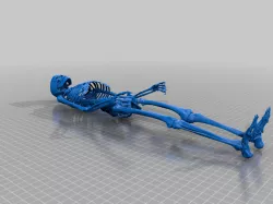 Skeleton
