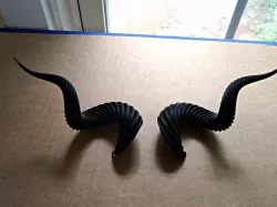 solidPython parametric horns