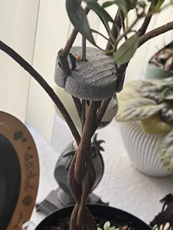Tree Branch Spacer/Braiding Lock
