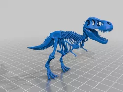 Tyrannosaurus Rex Skeleton