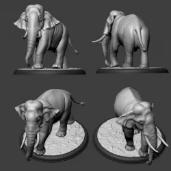 $13.00Elephant Asian