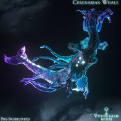 $14.99Cerenarian Whale
