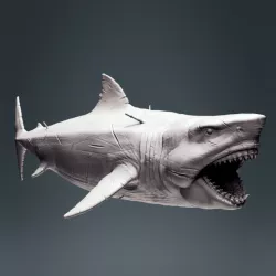$15.00Megalodon