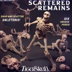 $15.00The Scattered Remains