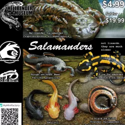 $19.99Salamanders, Volume 1: Multipack