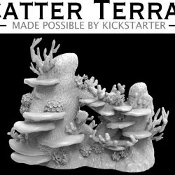 $2.00Coral Reef