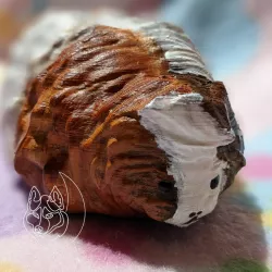 $2.00Long Haired Guinea Pig