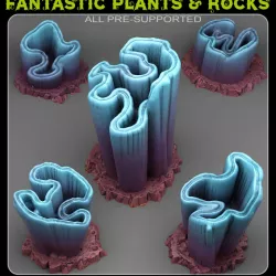 $2.50AURORA BOREALIS CORAL