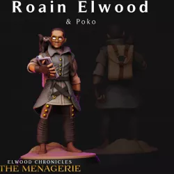 $2.99Young Wizard Roain Elwood - Pre-Supported