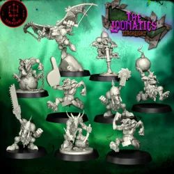 $23.00TORCHLIGHT "THE LOONATICS"