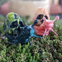 $3.00Death Snail - Oh No!