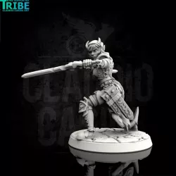 $3.90Female elf human tiefling thief or ranger with two weapons (0068)