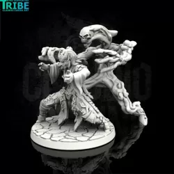 $3.90Female human dark elf tiefling sorceress with evocation (0069)