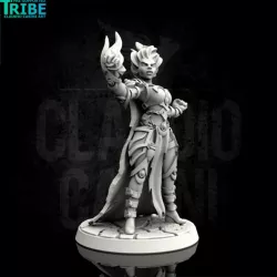 $3.90Female human elf half orc tiefling elemental fire wizard (0032)