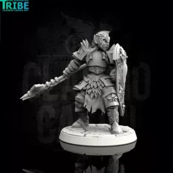$3.90Male elf human tiefling paladin with big axe / halberd (0070)