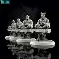 $3.90Male human elf tiefling half orc zen master shaolin monk (0083)