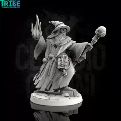 $3.90Male human wizard (0039)