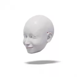 $3.99Pretty Lady, 3D model of head (for doll, marionette, puppet)