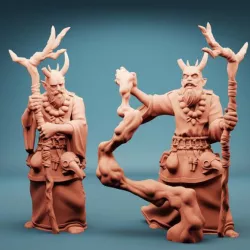 $3.99Tiefling Sorceror (Set of 2)