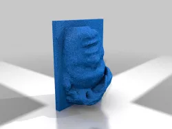 3D Face Scan