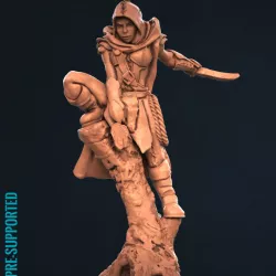 $4.00Wood Elf Rogue (F)