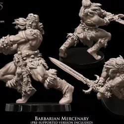 $4.50Barbarian Mercenary