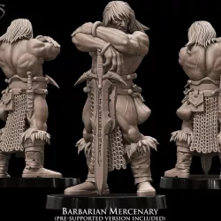 $4.50Barbarian Mercenary