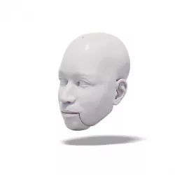 $4.99Charming Man, 3D model of head (for doll, marionette, puppet)