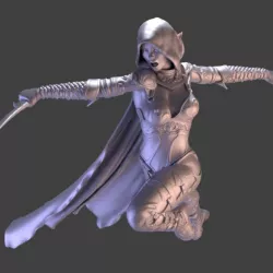 $4.99Dark Elf Assassin