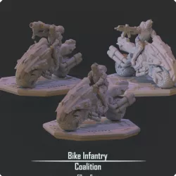 $5.00Bike Infantry