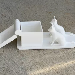 $5.00Cats with box