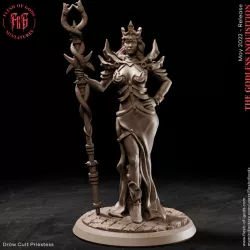 $5.00Drow Cult Priestess